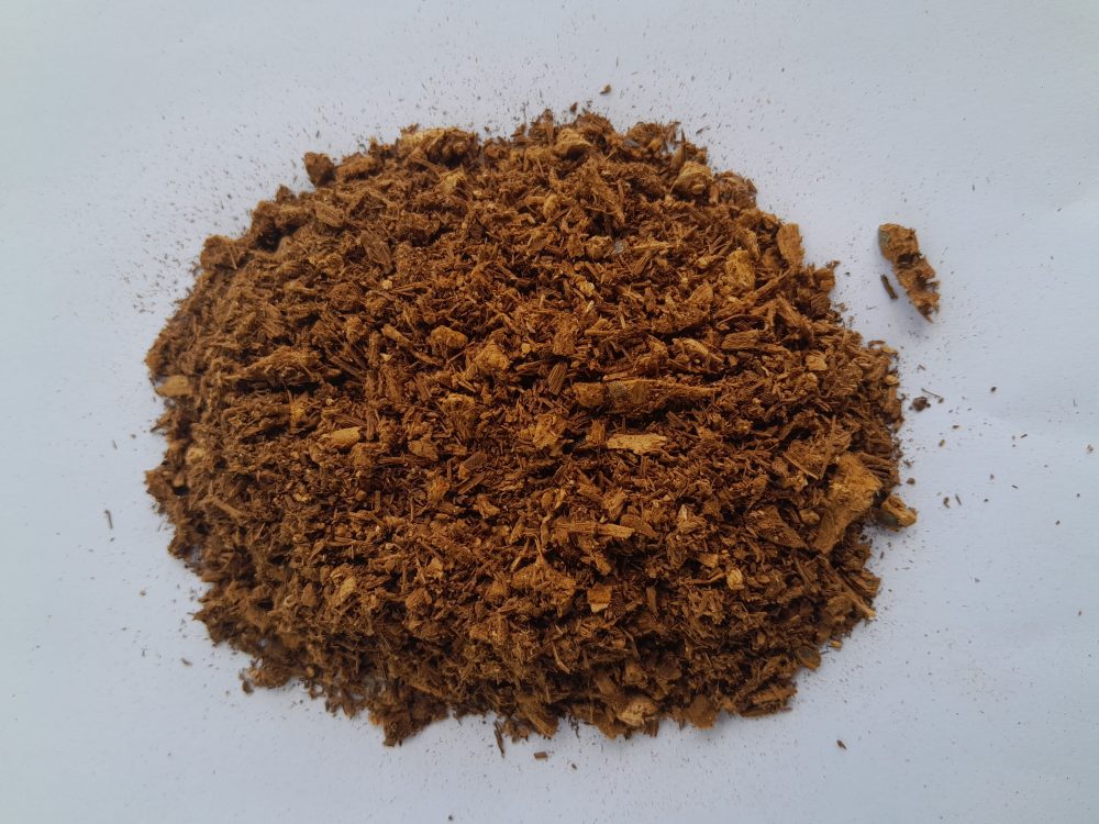 hrastova sjajnica ganoderma lucidum wild reishi / 100g 2500 din hrastova sjajnica ganoderma lucidum wild reishi / 100g 2500 din